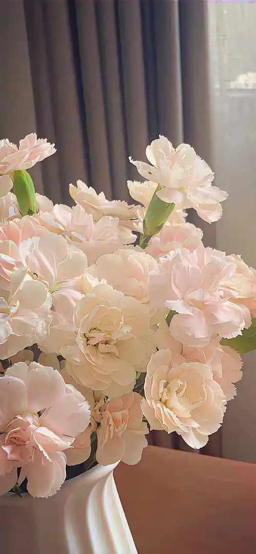 壁纸丨手机壁纸8k超清