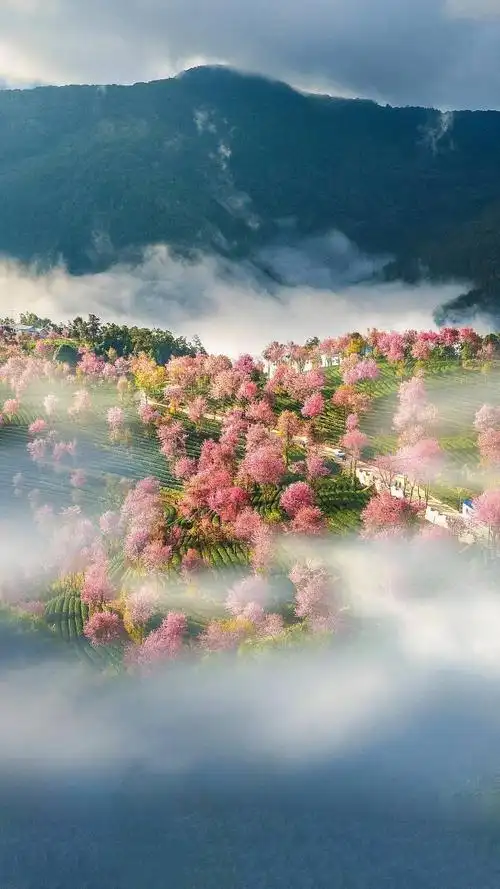 洪欣于20211009发布的作品