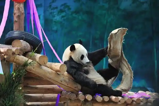 沈阳森林动物园介绍