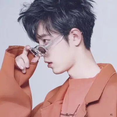 肖战滤镜头像. 原图wb. 拿图dd.