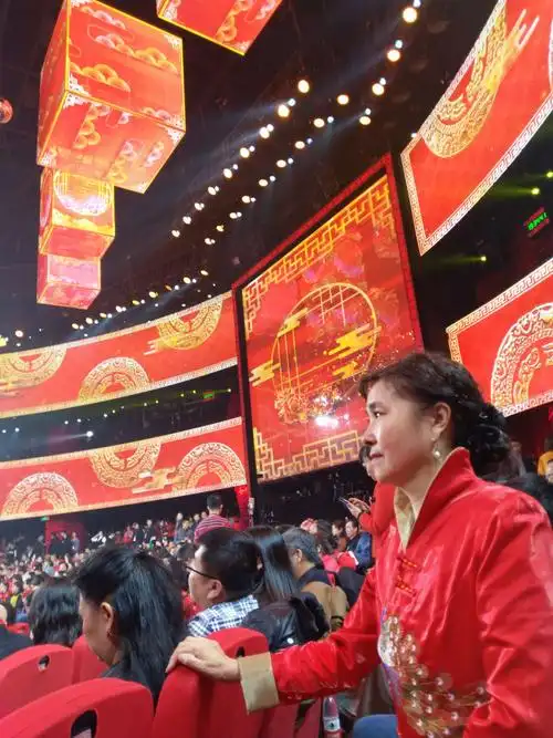 [新春第一篇]2019猪年央视春晚