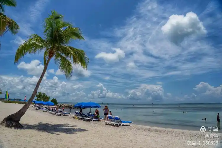 夏天的爱(summerlove)