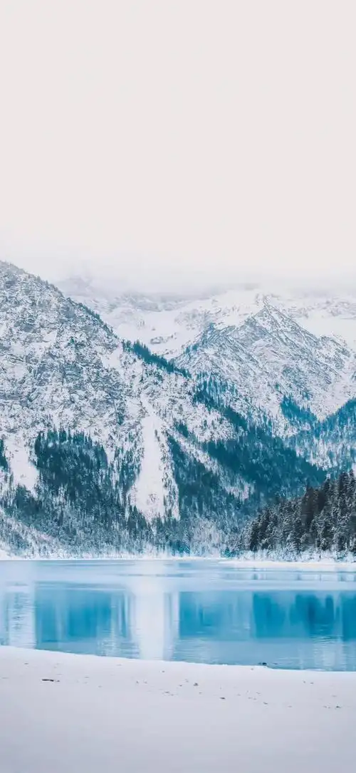 壁纸 风景 摄影 桌面 660_1430 竖版 竖屏 手机