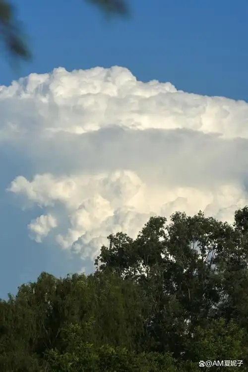 今天的云彩   真是漂亮迷糊了!