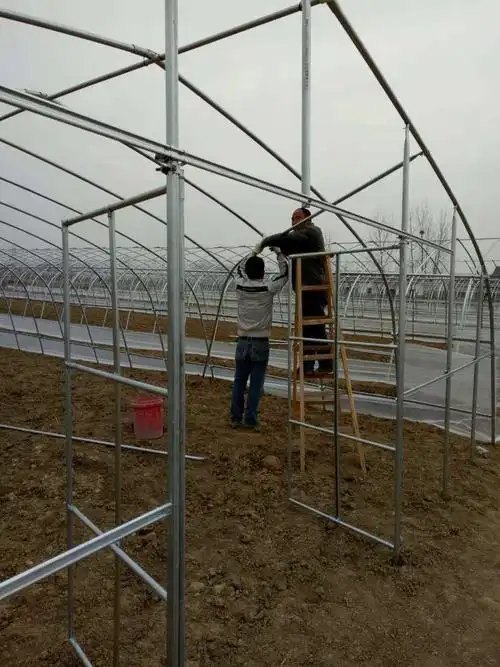 浙江丽水市遂昌县连栋大棚制造 蔬菜连栋大棚骨架 连栋大棚安装 温室