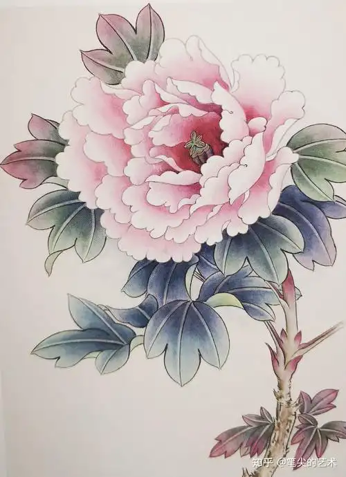 浅谈工笔牡丹花画法步骤图