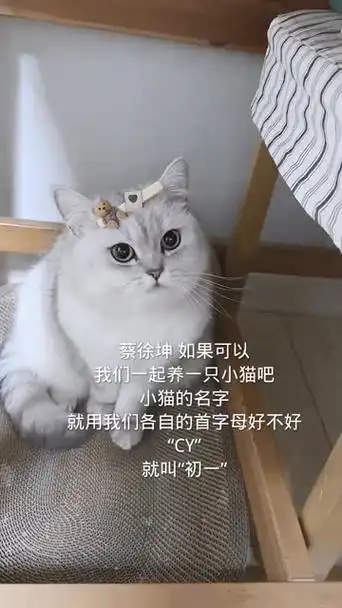 蔡徐坤.以后我们养只小猫就叫初一好不好