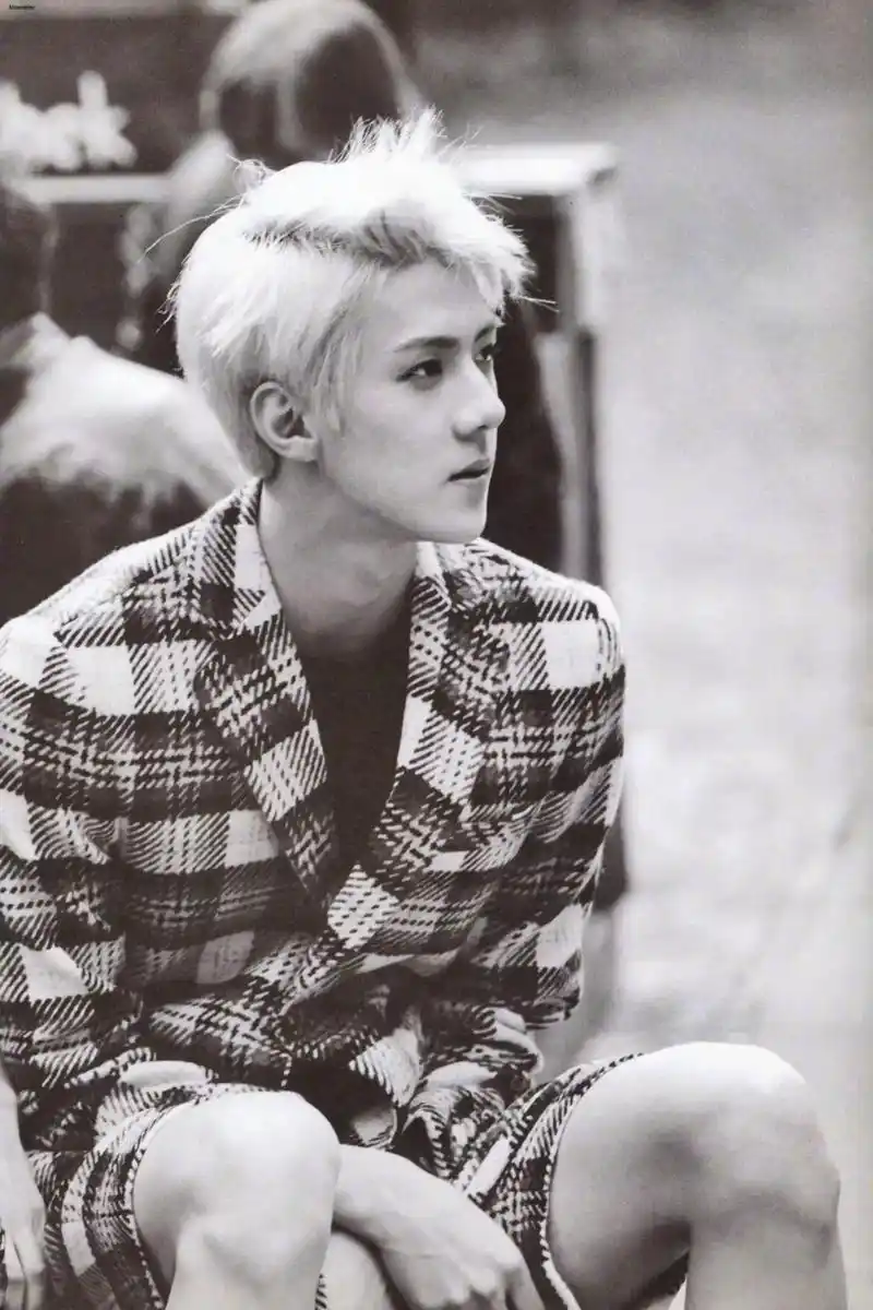 2013德国.德国写真帅飞了#吴世勋 #exo - 抖音