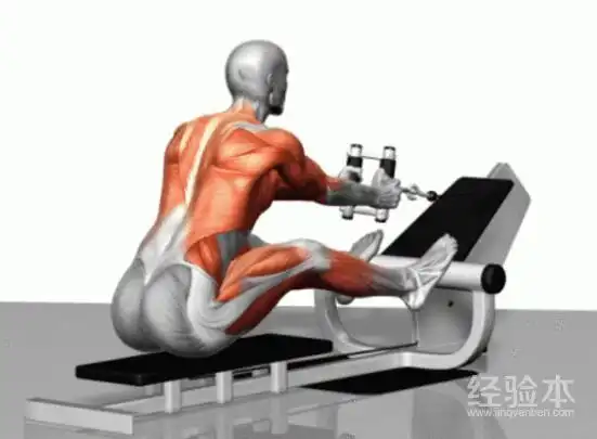 背部肌肉锻炼方法图解