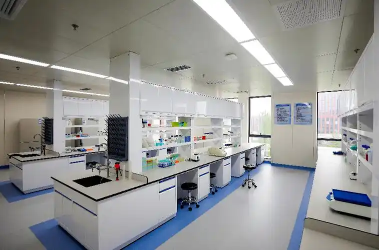 科学城金凤实验室揭面纱首批8个核心科研团队入驻开启科研攻关