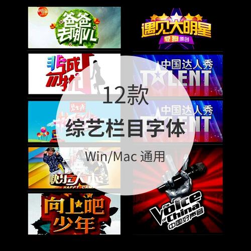 z004电视栏目真人秀综艺节目卡通logo文字字体素材包