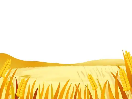 黄色手绘卡通小麦麦田田野农田元素png素材