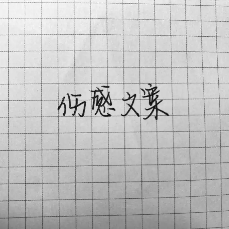 [手写]伤感文案    故事写在纸上总有一个结局,而写在心里,是无人知道