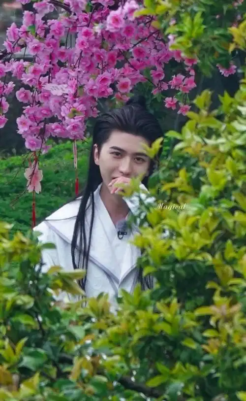 壁纸 花 桌面 690_1123 竖版 竖屏 手机