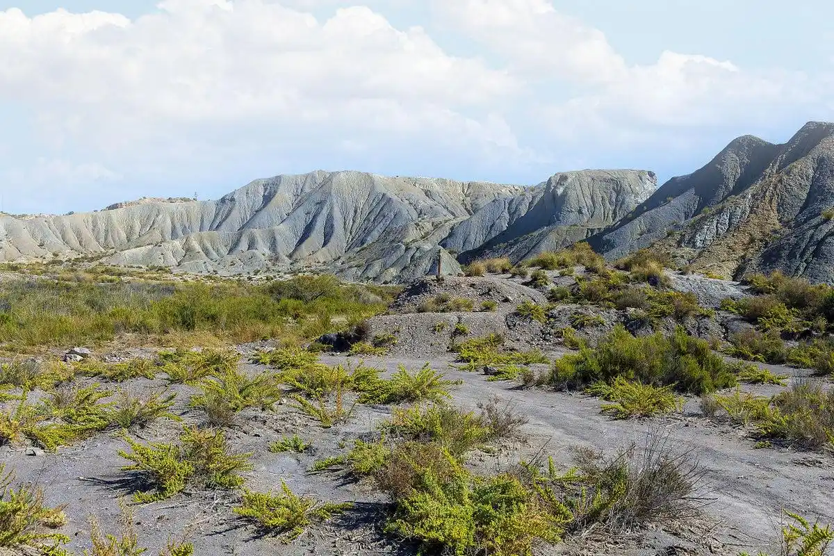 新疆大西沟中华福寿山景区:一步一景,探秘天山脚下的世外桃源!