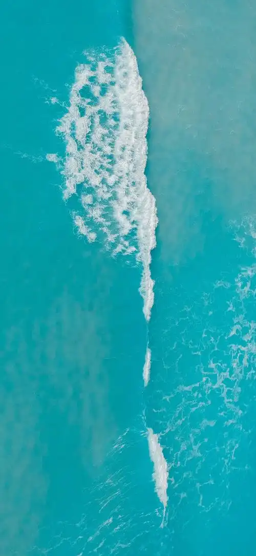 壁纸2 - 应用华为主题 花粉俱乐部