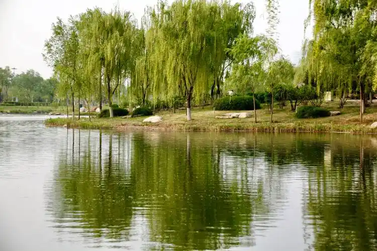 春夏之交 滨河风光