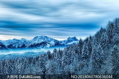 高寒地区雪山树林风景摄影高清图片