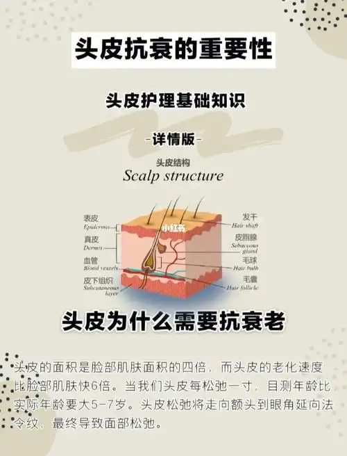 头皮护理