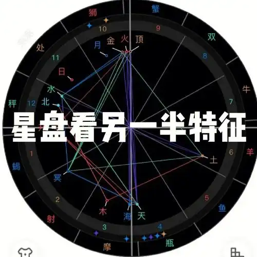 星盘看另一半特征星盘分析婚姻