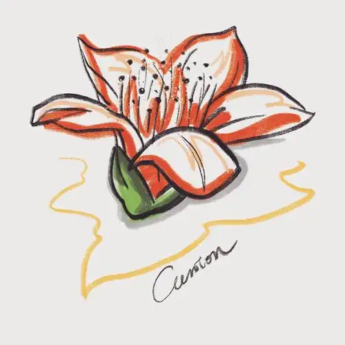 木棉|插画|艺术插画|imkid27 - 原创作品 - 站酷 (zcool)