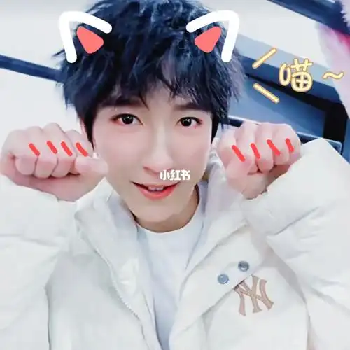 起来修了它05做我的猫93求求了06#贺峻霖#做我的猫#時代少年坒