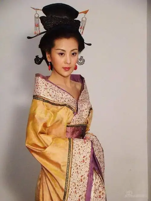 宫廷大戏母仪天下主演桑叶红风光无双图