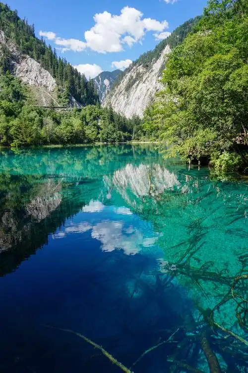 1280_1920竖版 竖屏