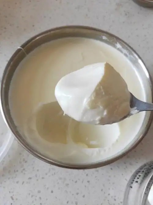 卡士酸奶在家做