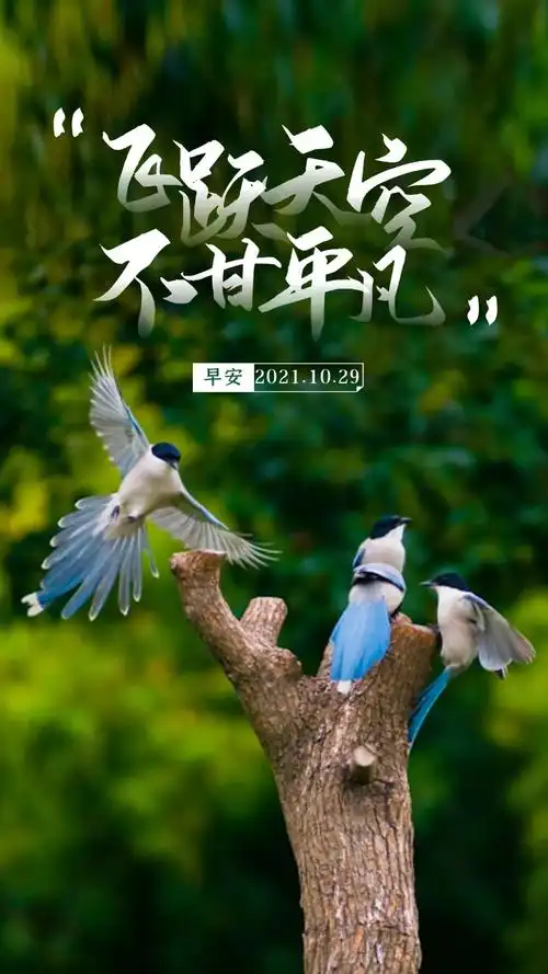 「2021.10.29」早安心语,周五早上好正能量励志语录经典带字图片