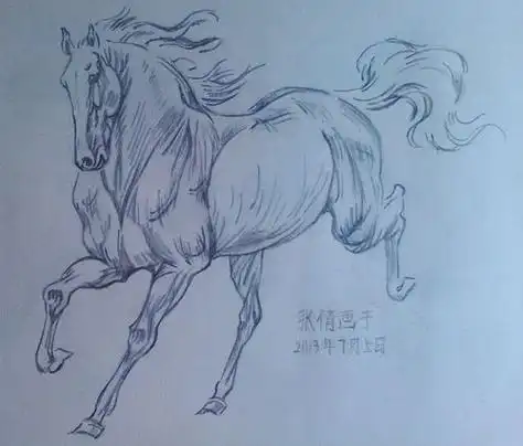 金江开明电动车行腾猫车网正式上线