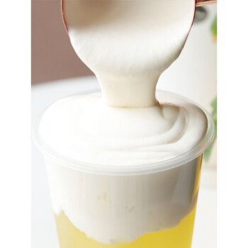 芝士奶盖粉奶茶店原料原味海盐免奶油打发奶盖原料800g淡奶油粉800g