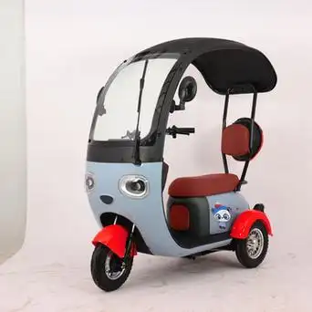 新款电动三轮车带棚代步车电动车小型电动车