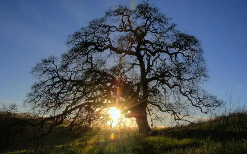 落日余晖绝美大自然风景电脑桌面壁纸