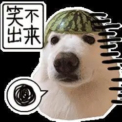 萌宠 西瓜皮 小狗 笑不出来