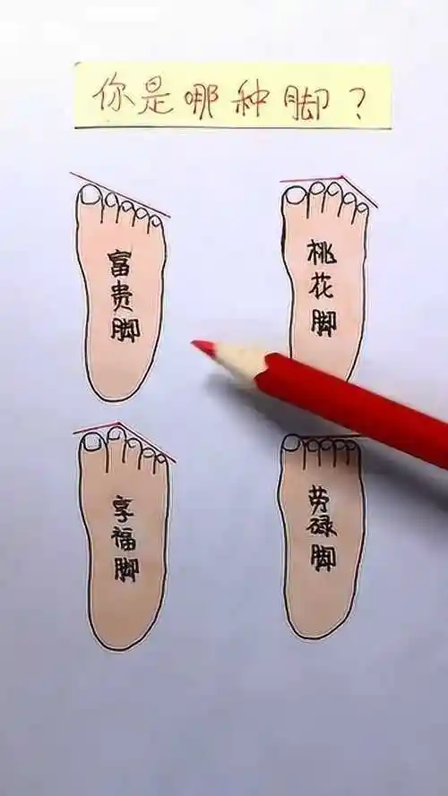 脚相看富贵通过脚趾长短看人生运势你是哪种特征