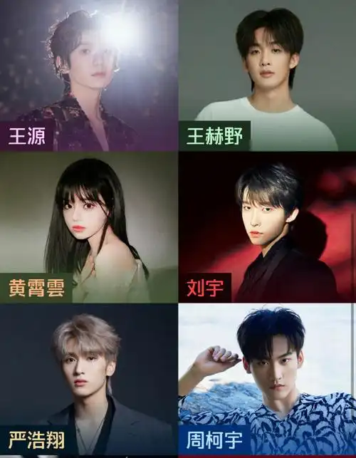 刘耀文,王嘉尔,希林娜依高,宋亚轩,单依纯,刘雨昕,马嘉祺,小鬼王琳凯