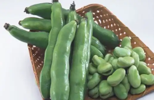 蚕豆_小东_人们