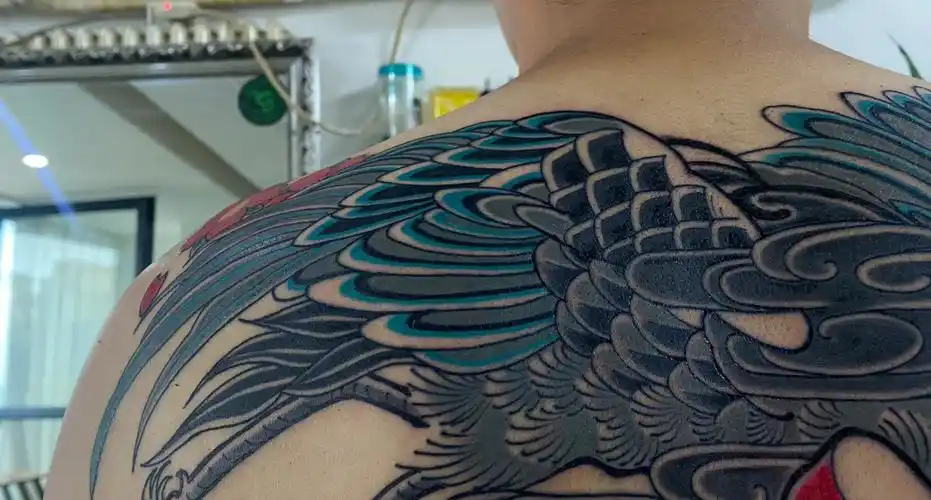 仙鹤纹身  #半背纹身  #安阳纹身  #郑州纹身