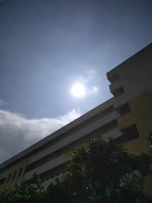 看我拍的太阳炫光吗,感觉还好吧 - oneplus 2 - 一加手机社区官方论坛