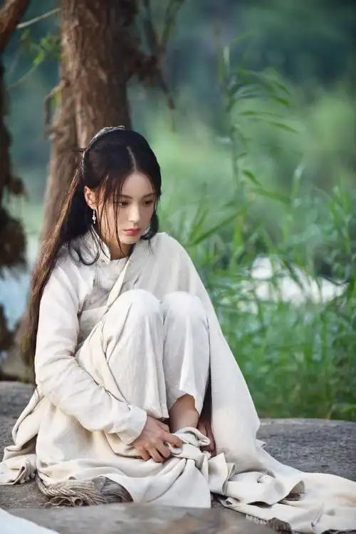 大侠霍元甲##毛林林