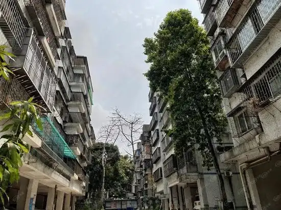 实探深圳福田华富村棚改:建成后不低于12万/㎡?