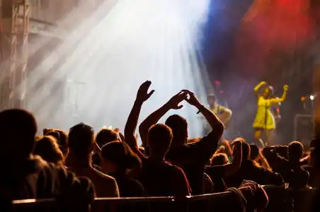 人群在音乐会-夏季音乐节照片