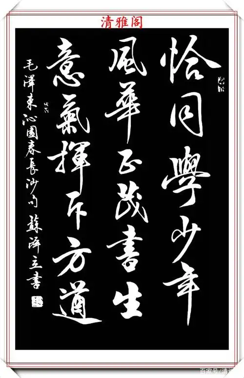 现代著名美女书法家苏泽立,精品行书书法欣赏,笔法精妙姿态秀美