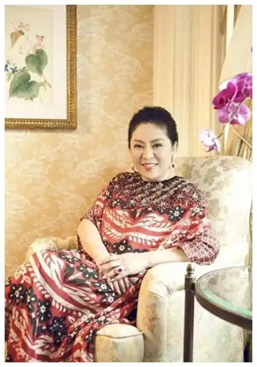 逆境中的传奇陈岚与向华强光芒闪耀坚韧绽放