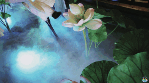 640_360gif 动态图 动图