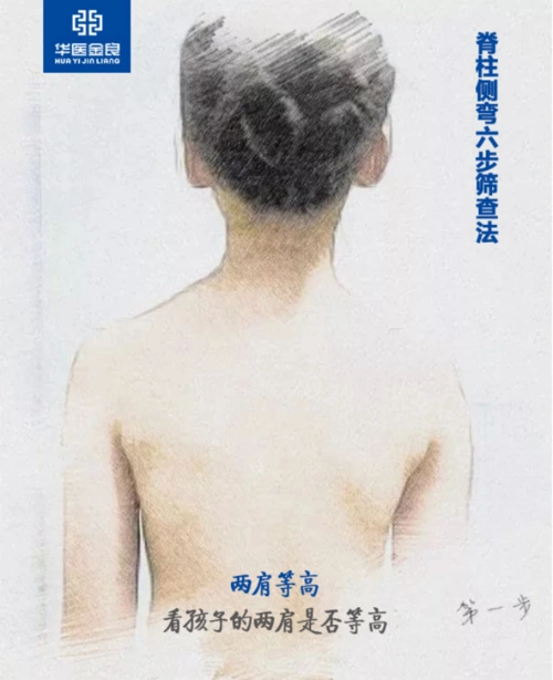 第三步  肩胛骨下端等高  用手摸一摸孩子背部的肩胛骨,看两块肩胛骨