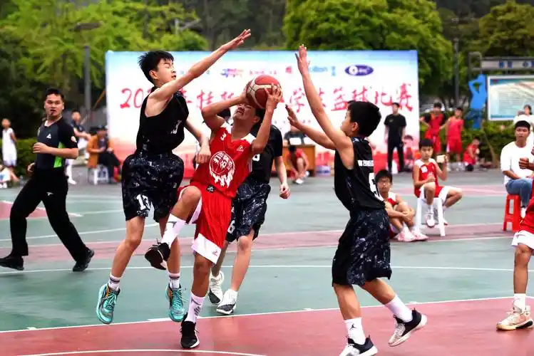 72支队伍角逐桂林市小学生篮球赛_市体育中心_赛事_县城