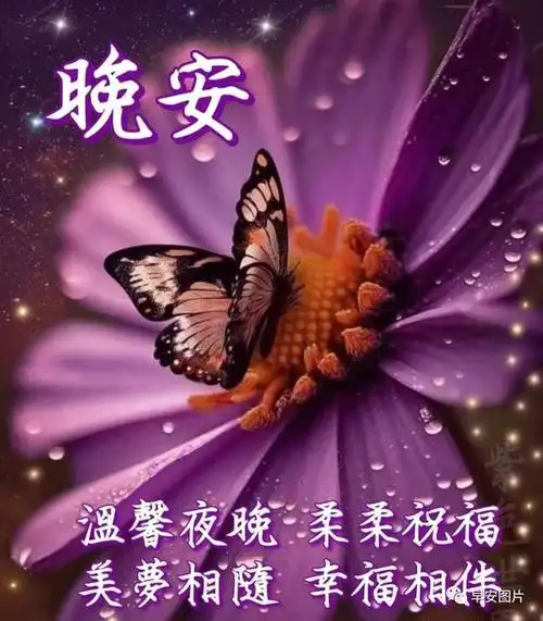 晚上好图片晚上好祝福问候语愿我们都平安健康幸福快乐