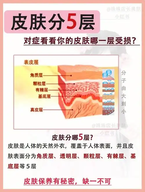 皮肤分5层78来看看你的皮肤哪一层屏障受损
